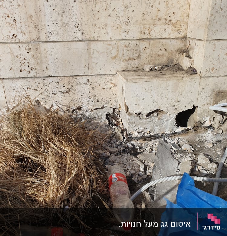 קיר אבן עם חורים וסדקים, צינור גמיש על הקרקע